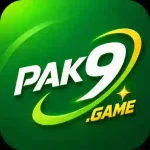 PAK9 Game