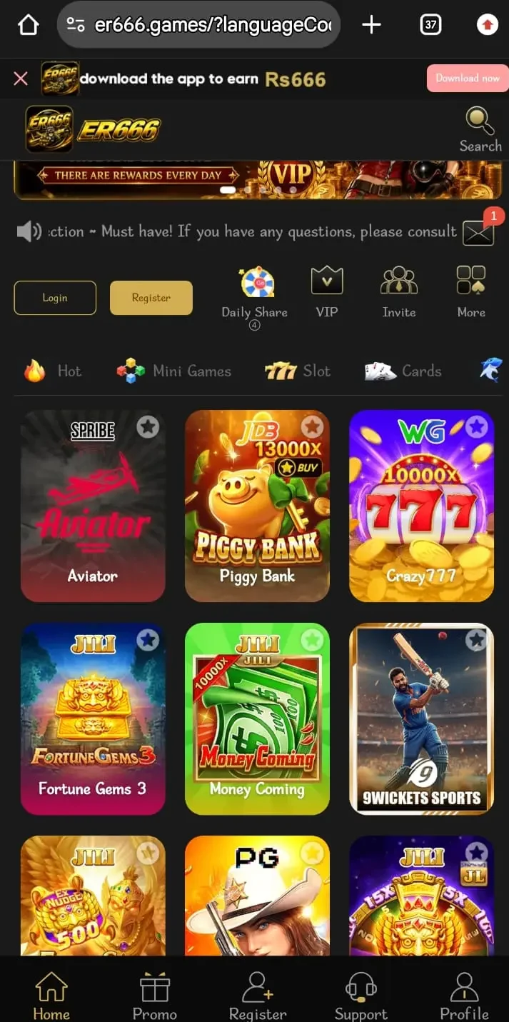 ER666 Game